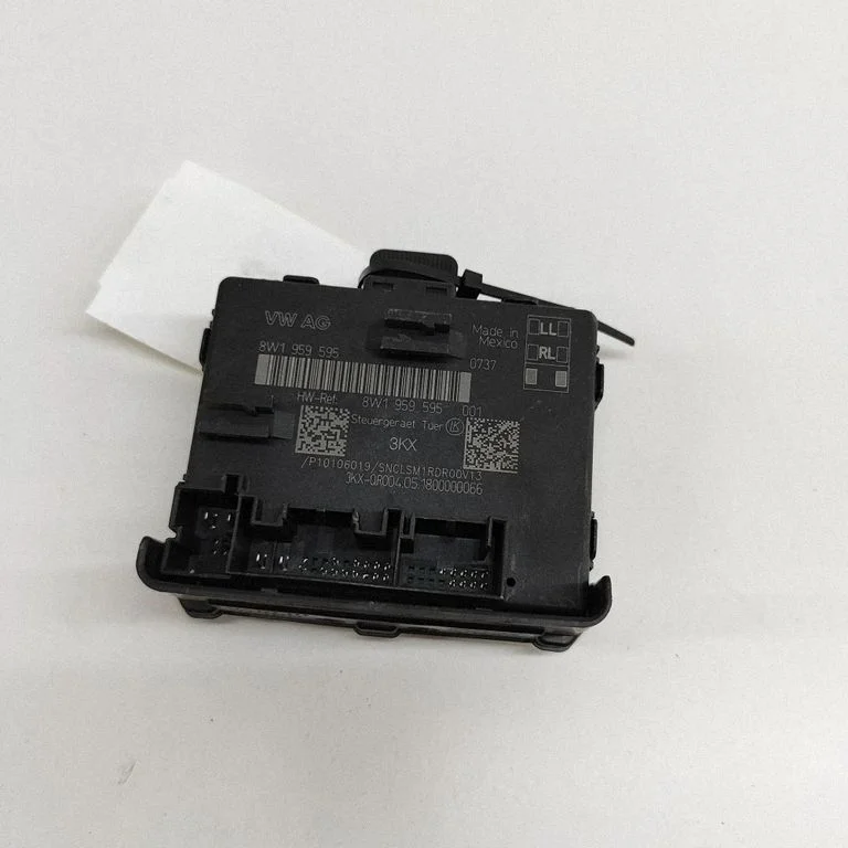 Door control unit/module P10106019