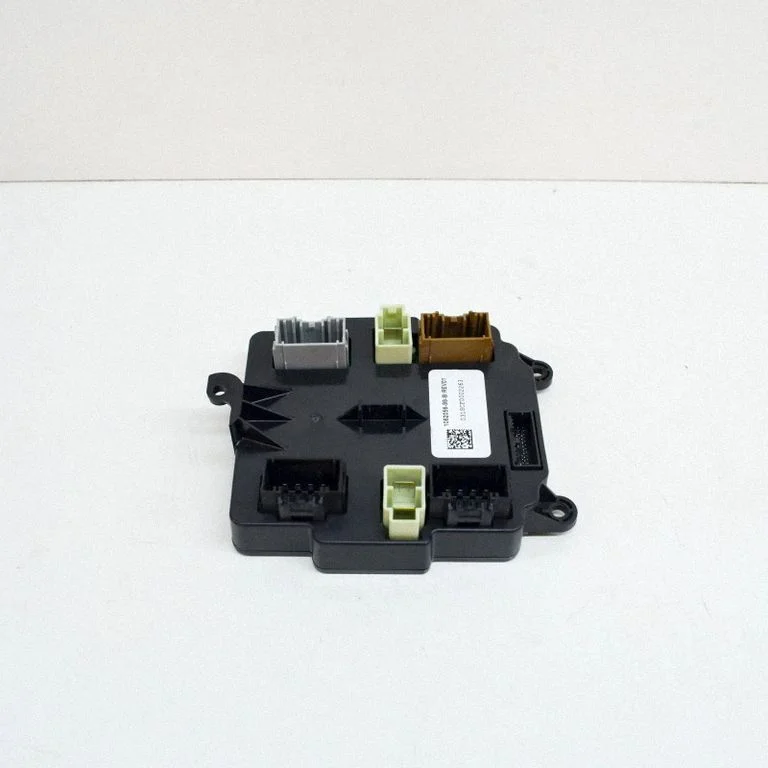 Door control unit/module 106205699B