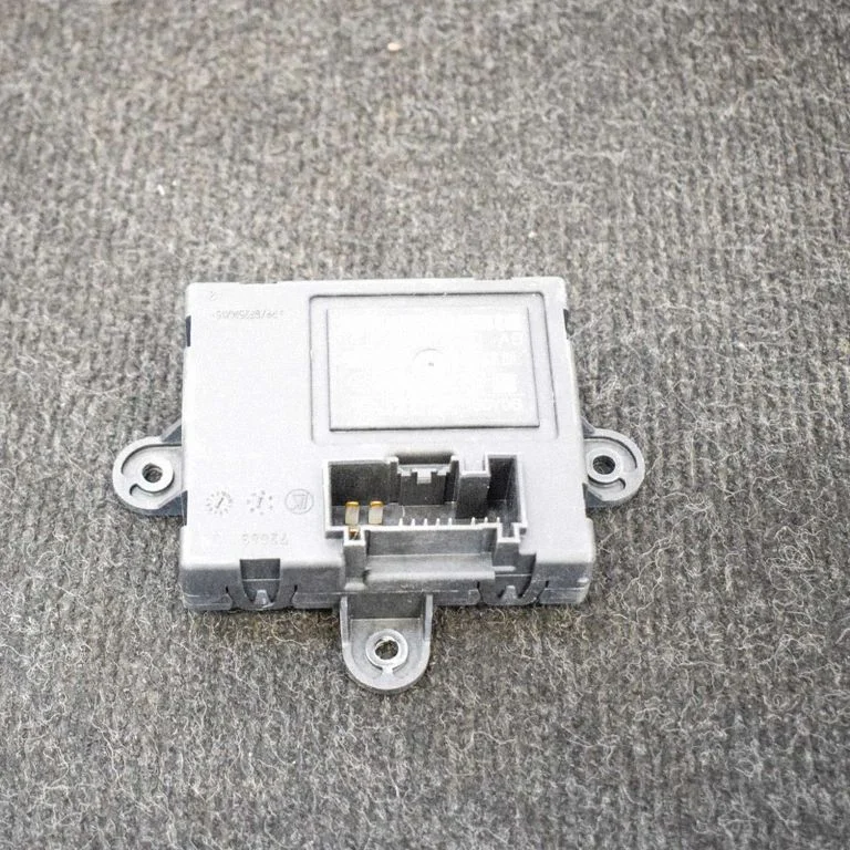 Durvju elektronikas vadības bloks 1012369900