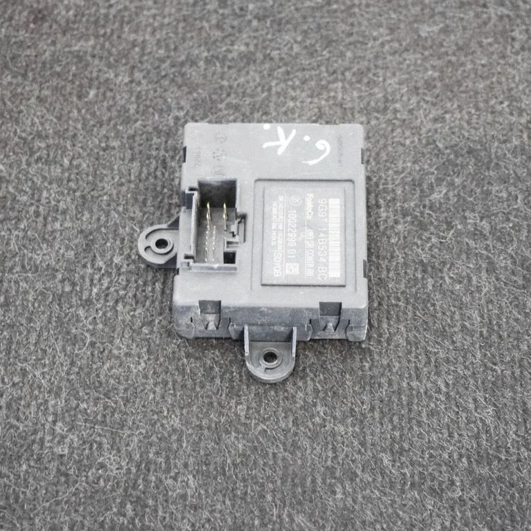 Durvju elektronikas vadības bloks 10022999
