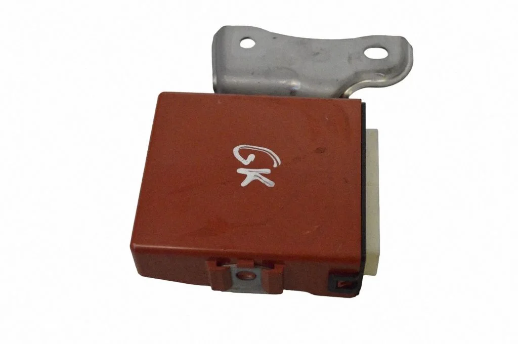 Door control unit/module 1233006610