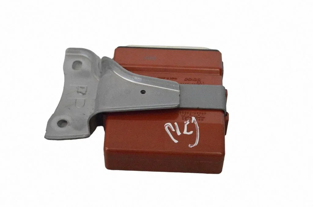 Door control unit/module 1233006590