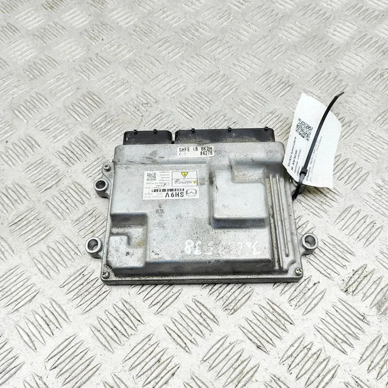 Engine control unit/module 2757009332