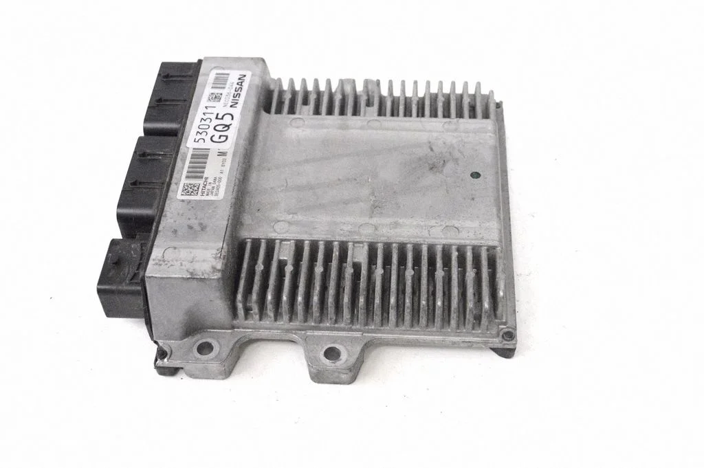 Dzinēja vadības bloks 530311GQ5