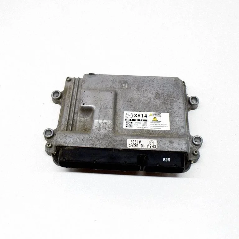 Dzinēja vadības bloks 2757006332