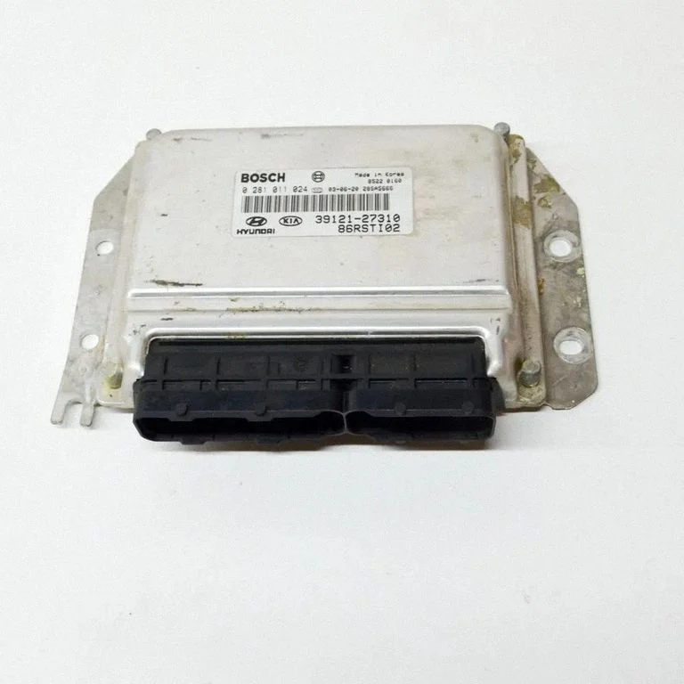 Dzinēja vadības bloks 0281011024