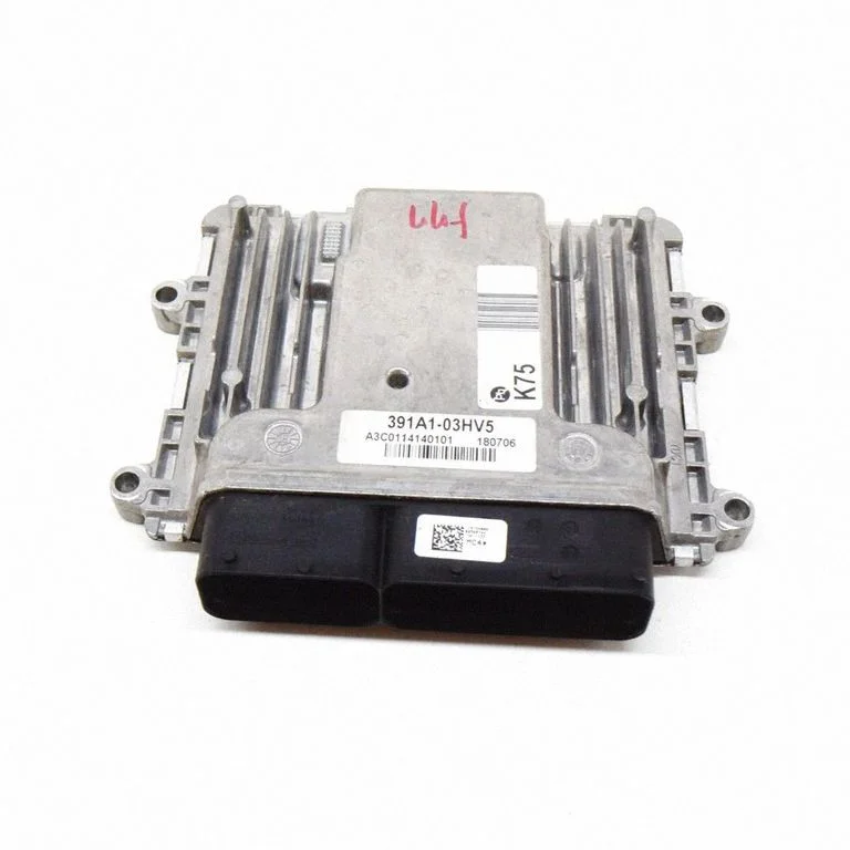 Dzinēja vadības bloks 3911003HV5