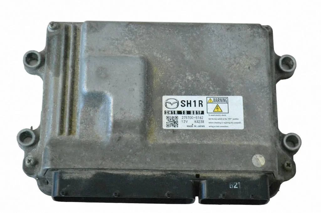 Dzinēja vadības bloks 257005162