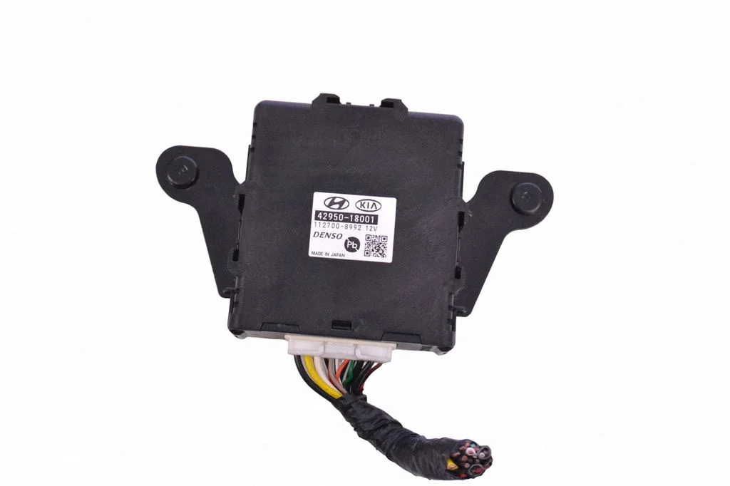 Dzinēja vadības bloks 4295018001