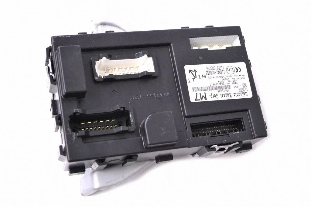 Central body control module 116RAI000258