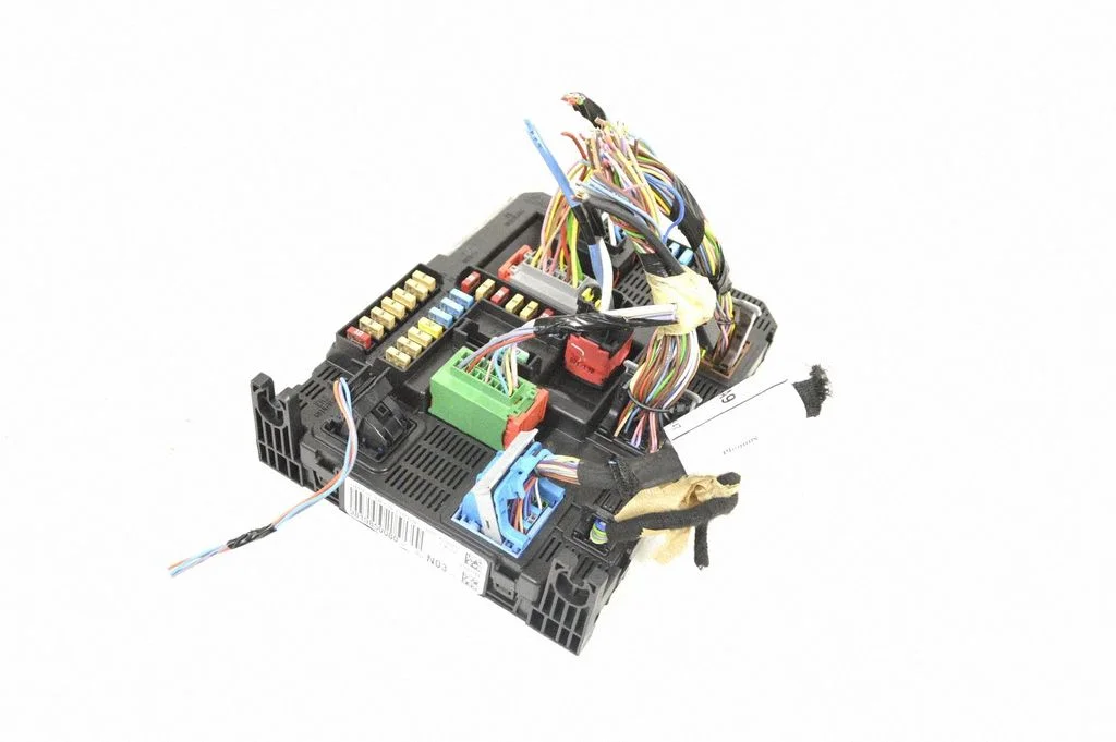 Central body control module 9819850080