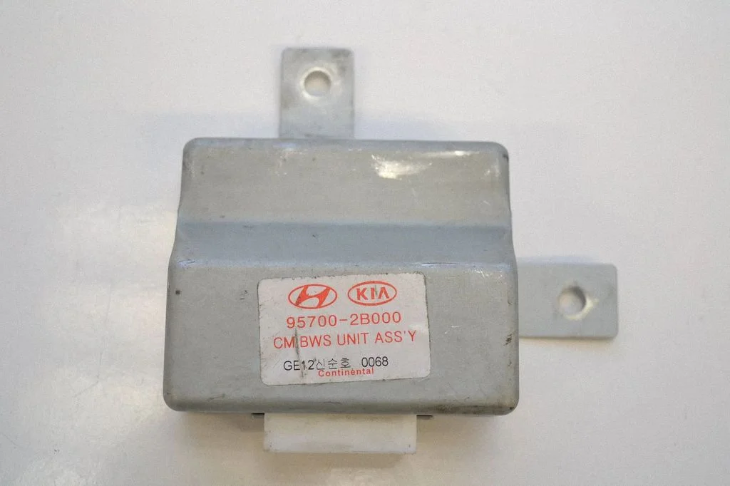 Parkošanās (PDC) sensoru vadības bloks – Hyundai Santa Fe (2006-2012)