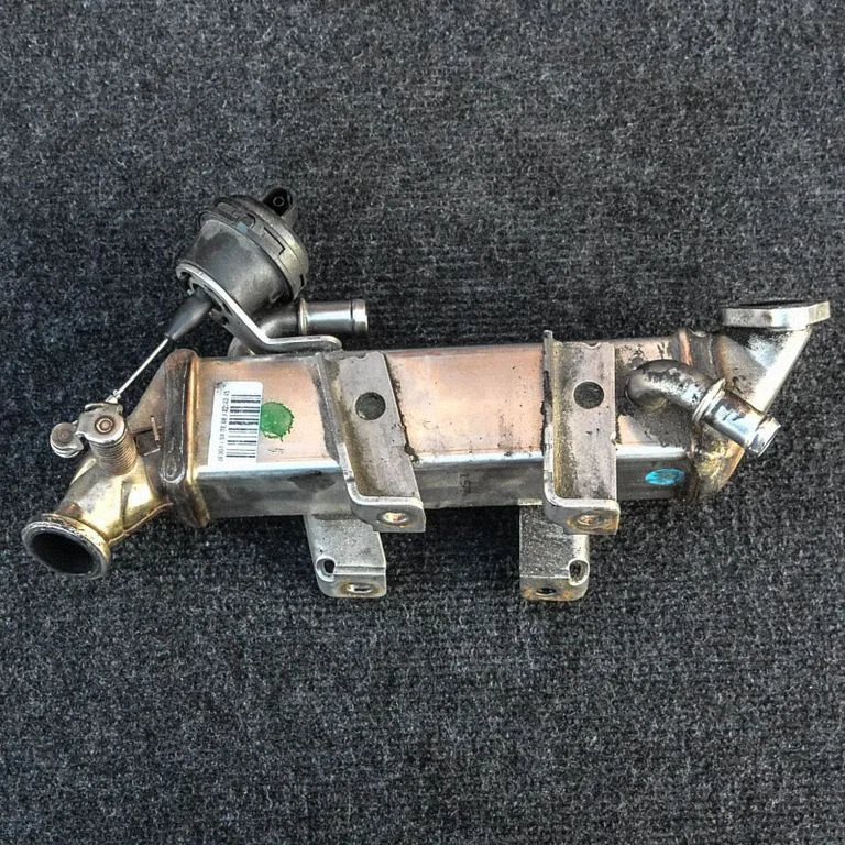 EGR dzesētājs – Renault Laguna III (2007-2015)