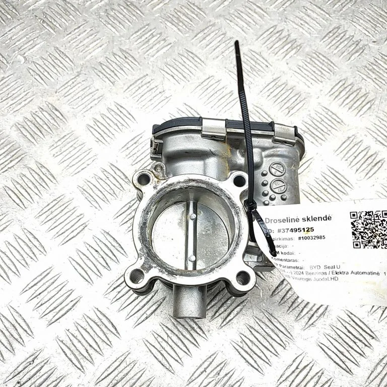 Throttle valve F01R00Y218
