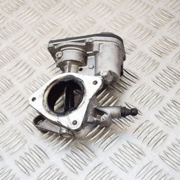 Throttle valve 55564164