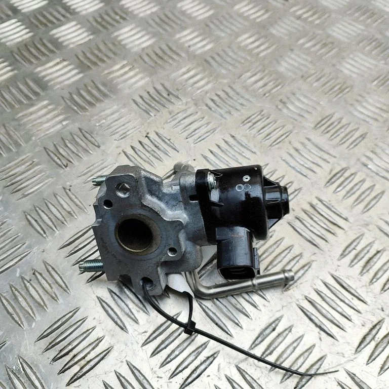 EGR vārsts 2562031080