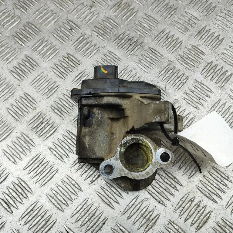 EGR vārsts VN1501000481