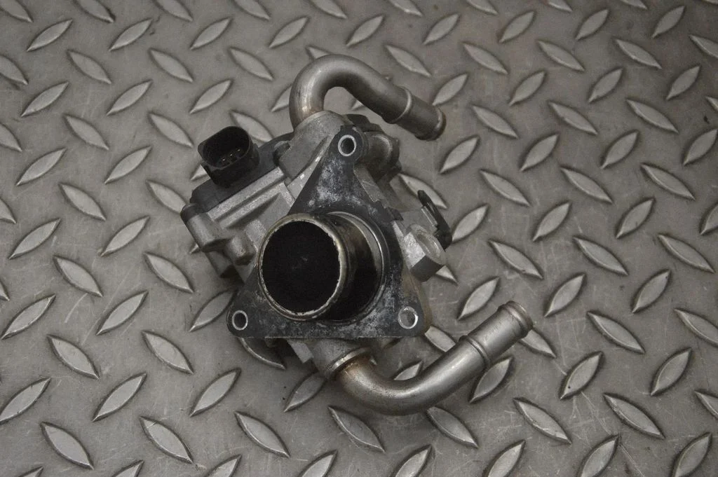 EGR vārsts 01695