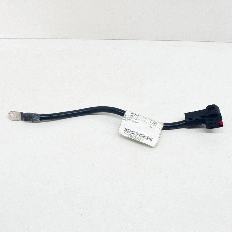 Negative earth cable (battery) 06700064690