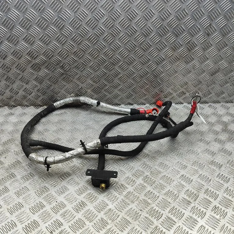 Plusa vads (akumulatora) NY8310C310CA