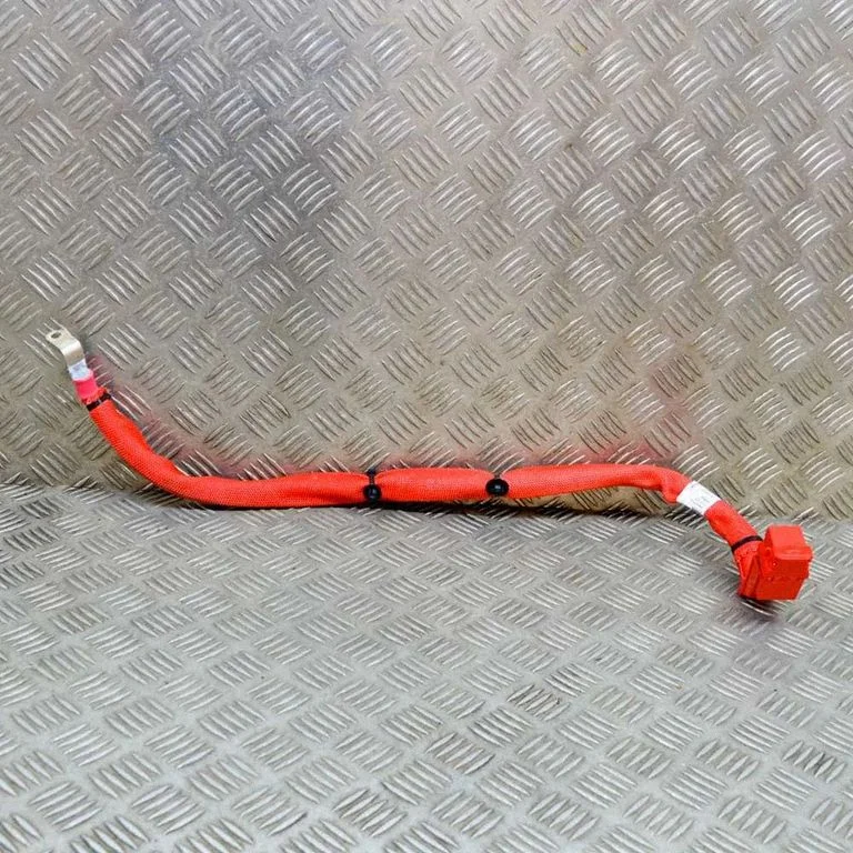 Plusa vads (akumulatora) – BMW X3 G01 (2018-2024)