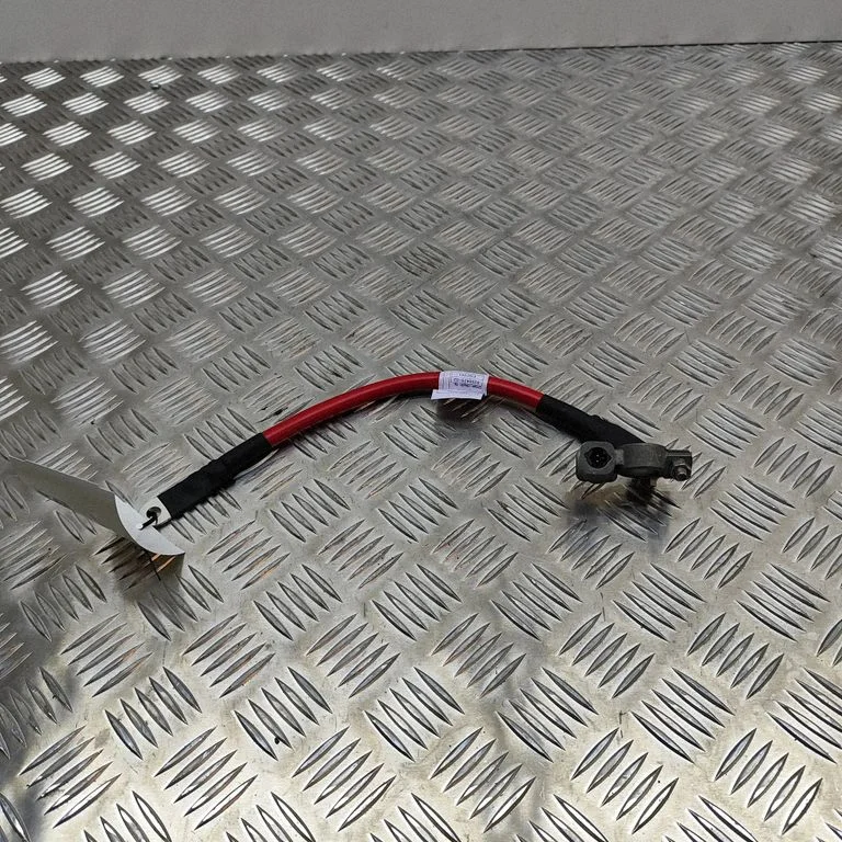 Plusa vads (akumulatora) – BMW 3. sērija F30 F35 F31 (2012-2018)