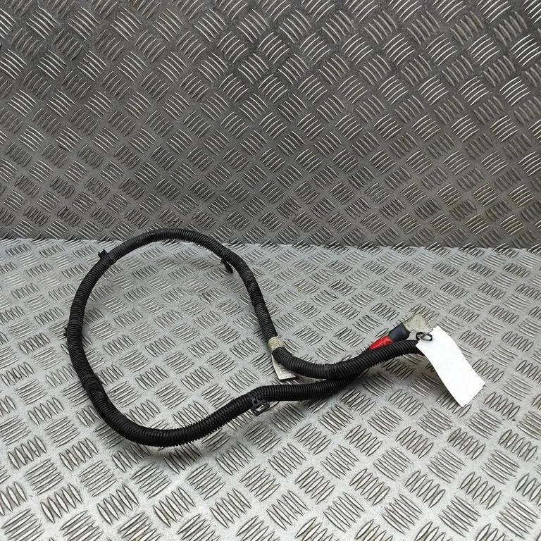 Plusa vads (akumulatora) 103688501E