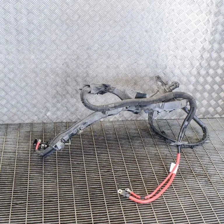 Plusa vads (akumulatora) 31665306