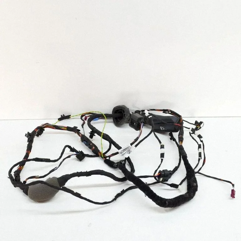 Front door wiring loom 9841275