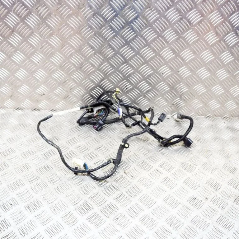 Front door wiring loom MB894087