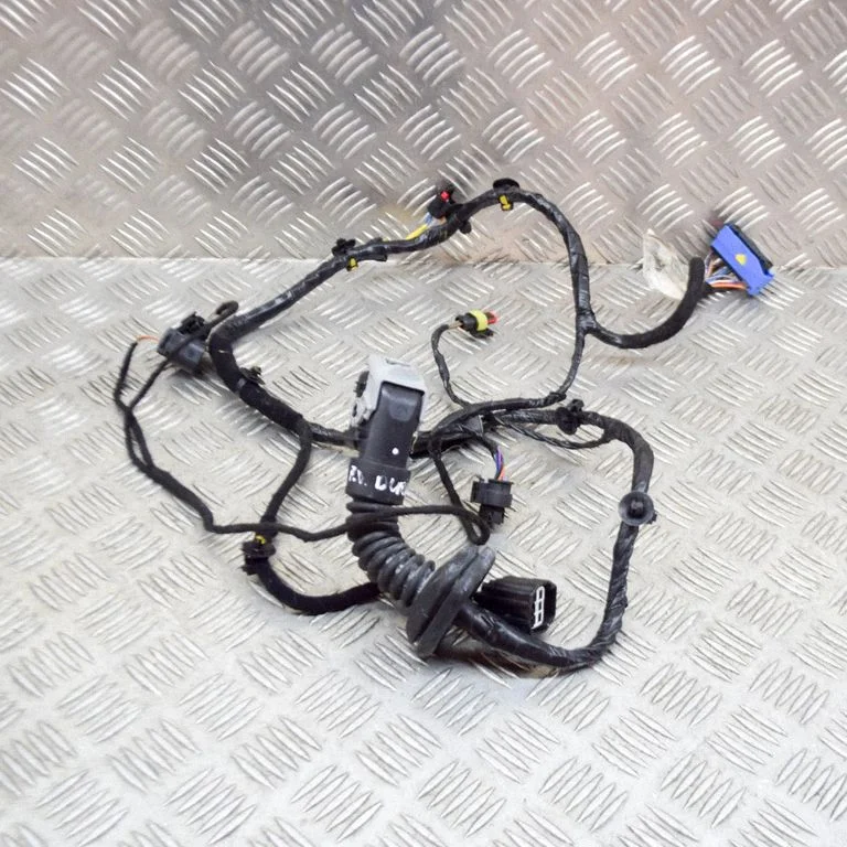 Front door wiring loom 06700075090