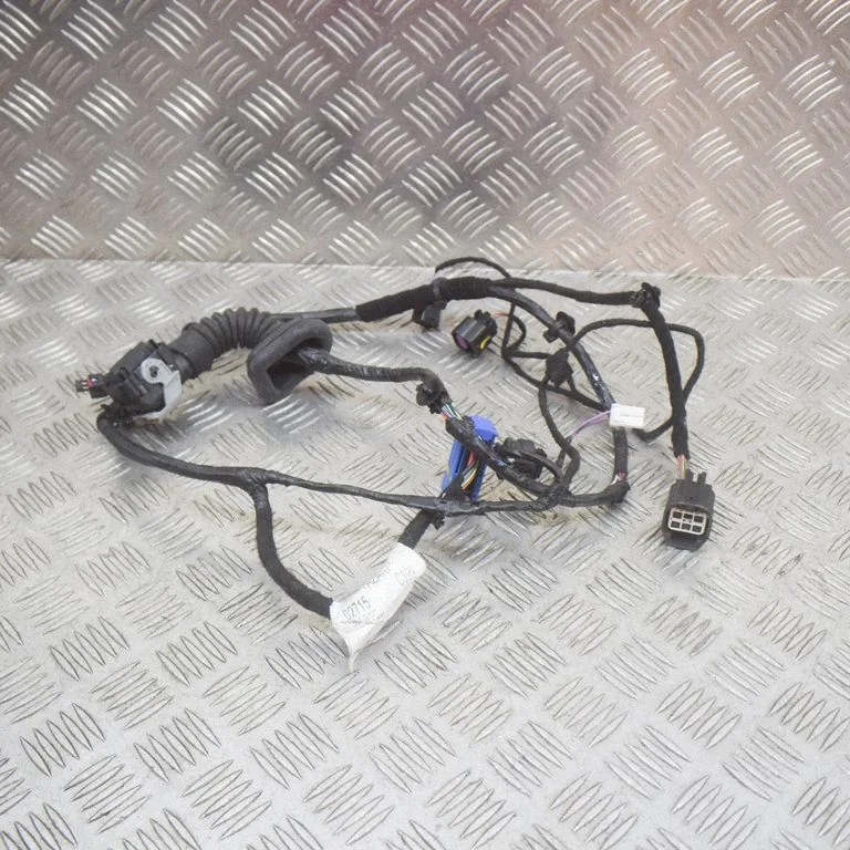 Front door wiring loom 06700075080