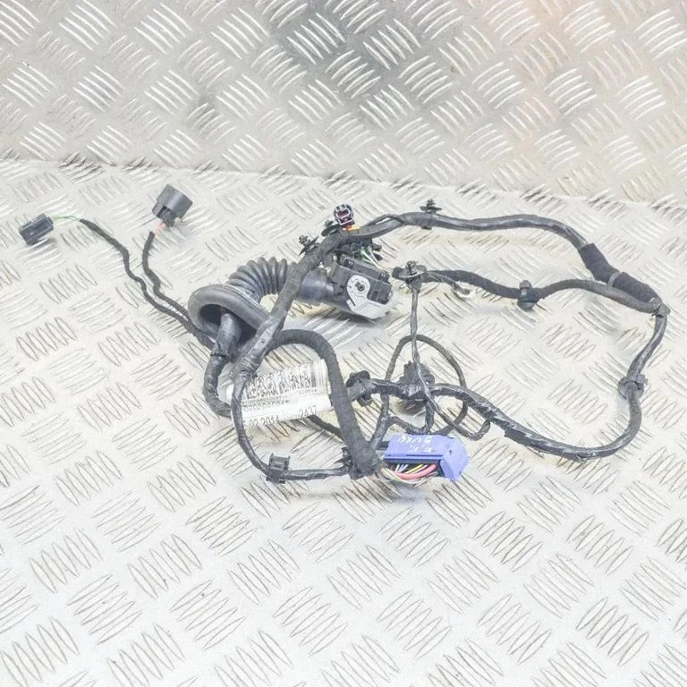 Front door wiring loom 6700086010