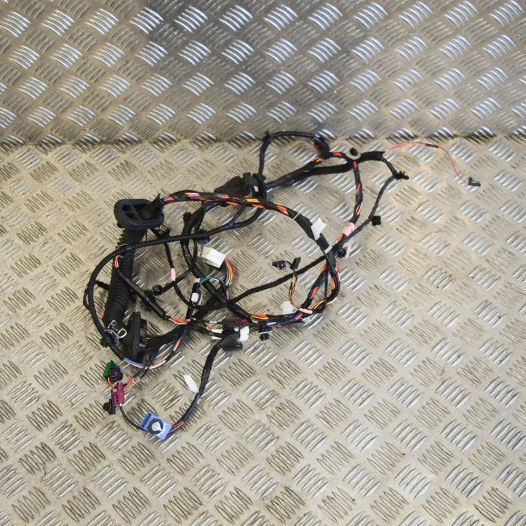 Front door wiring loom 106796300D