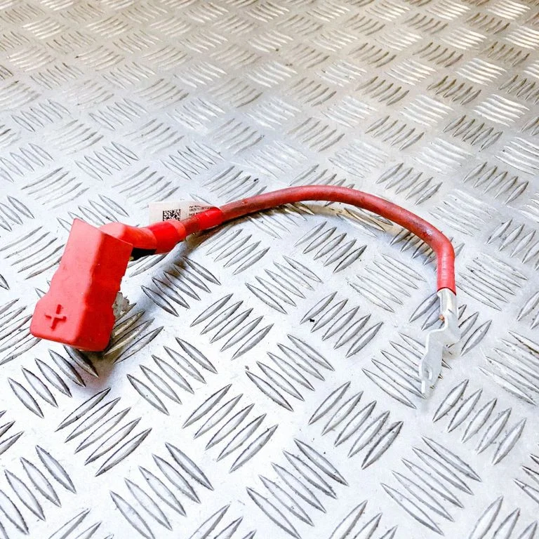 Positive cable (battery) 106797100D