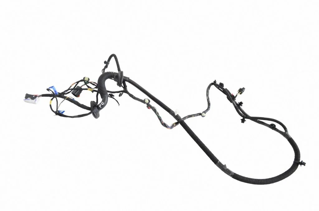 Front door wiring loom 148905202E