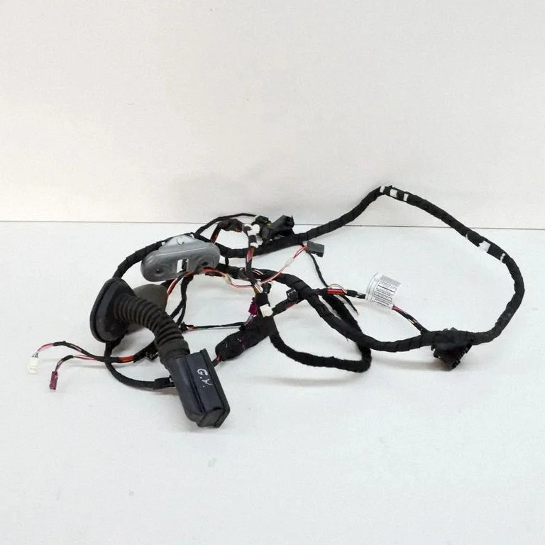Rear door wiring loom 9841292