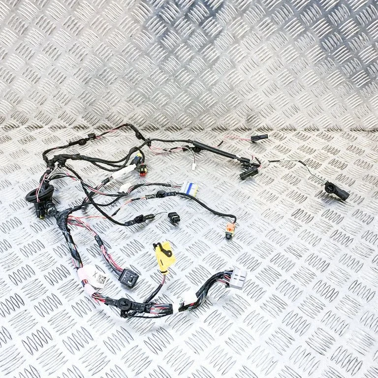 Rear door wiring loom 103244100G