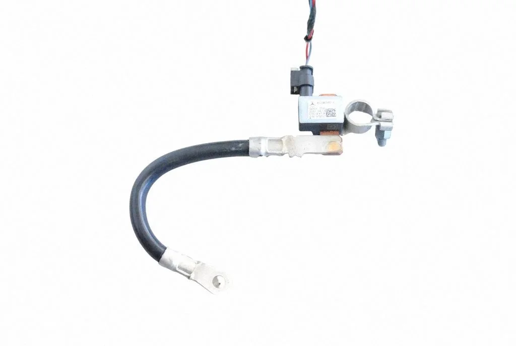 Positive wiring loom A0009058212