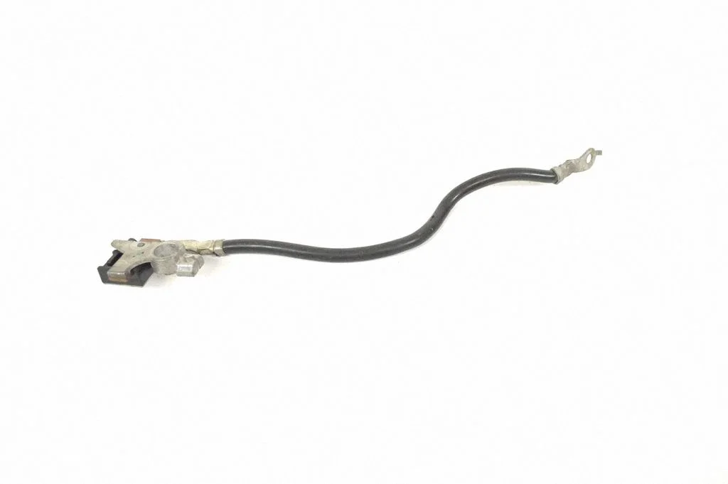 Positive wiring loom C95YDSW221