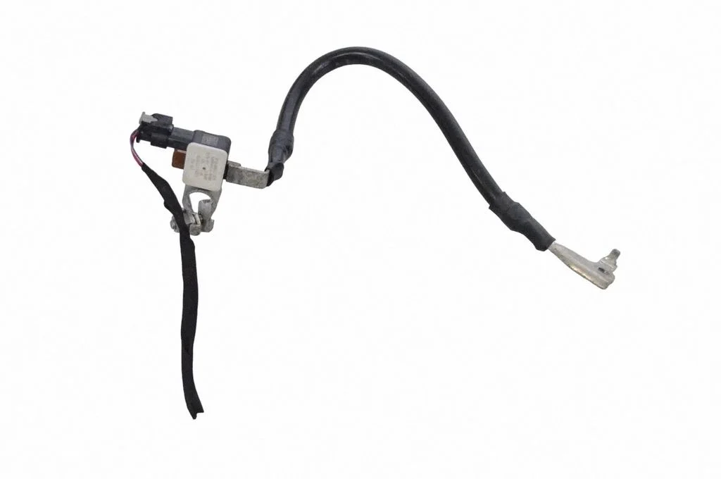 Positive wiring loom – Skoda Enyaq iV (2020-)