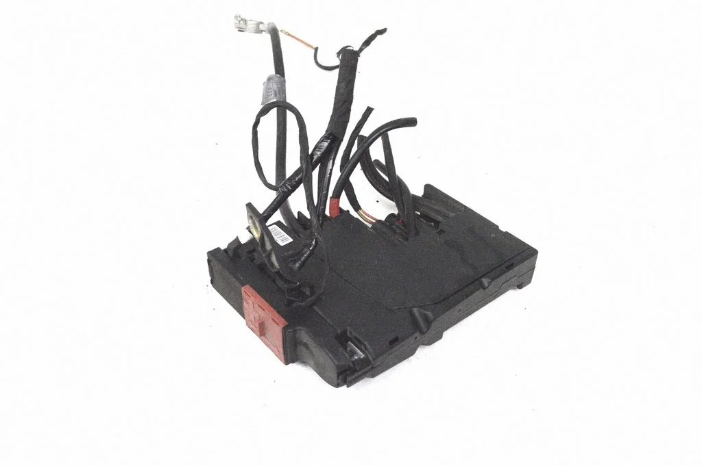 Positive wiring loom A221204131