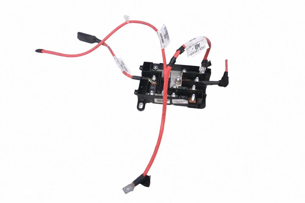Positive wiring loom CX2314A067AC