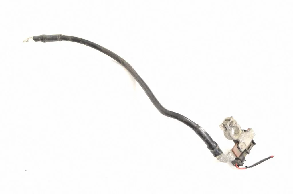 Positive wiring loom 9381581