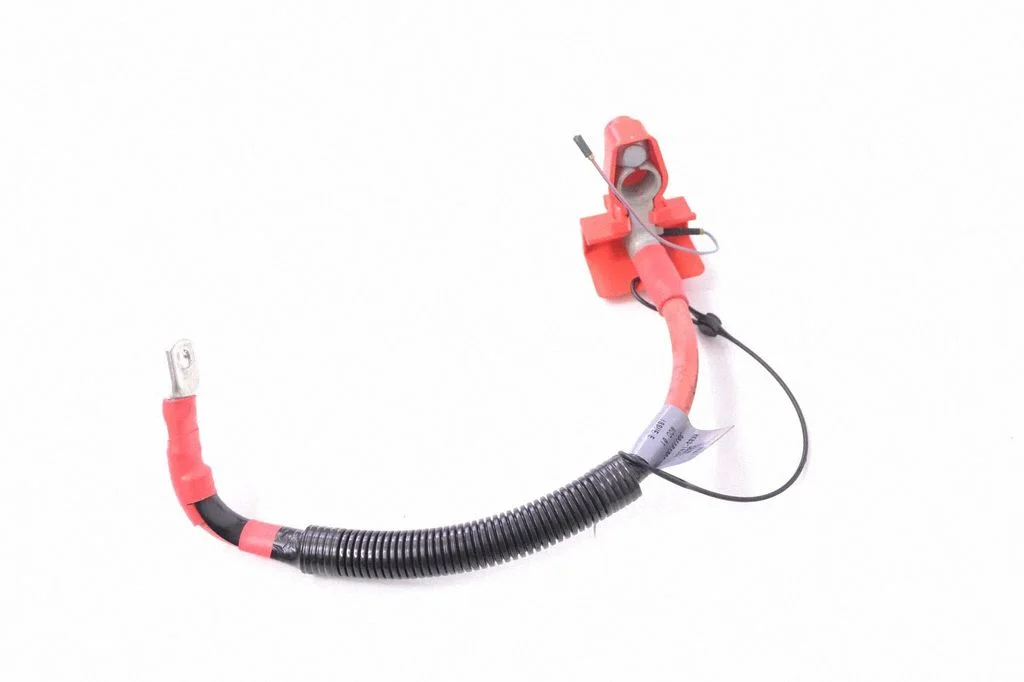 Positive wiring loom HK8314300NE