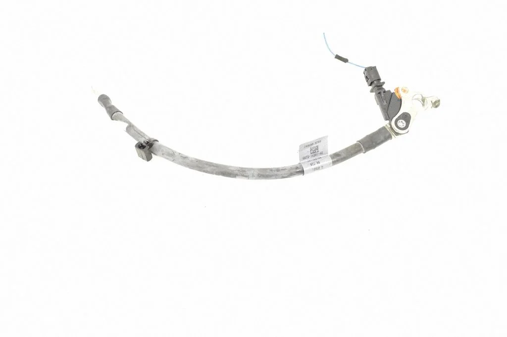 Positive wiring loom GX7314301AD