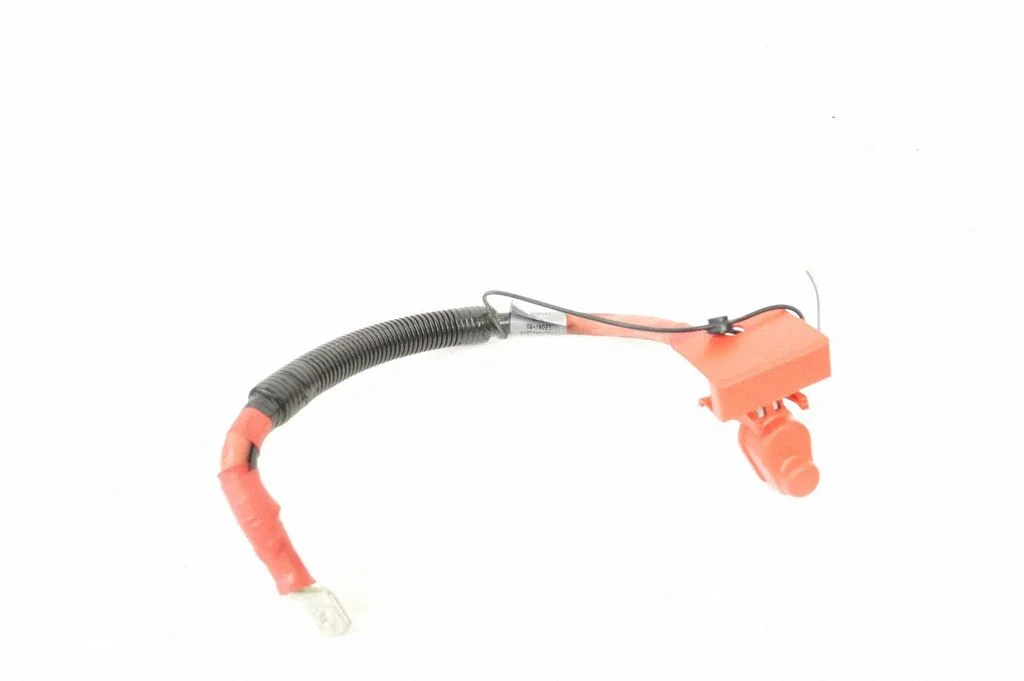 Positive wiring loom HK8314300NE