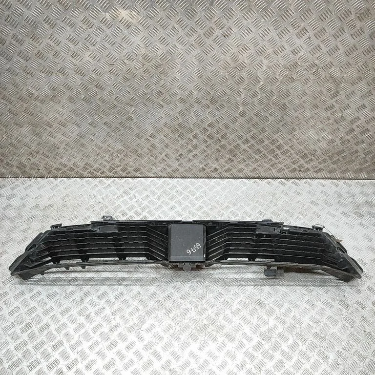 Front grill 9839795580