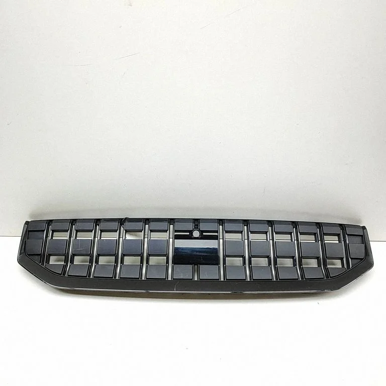 Front grill 31698060