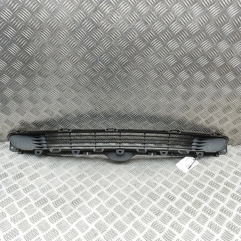 Front grill 151684800A